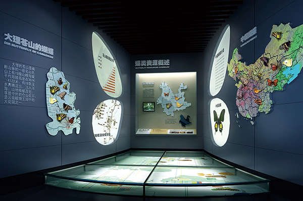 蝴蝶博物馆展厅设计搭建一站式服务-中涵标识